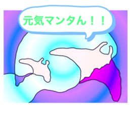 438315567