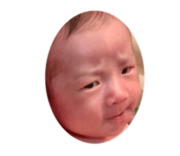 438350776