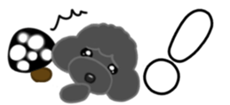 438407474
