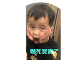 43842142