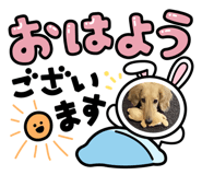 438439973
