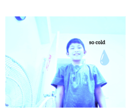 438440161