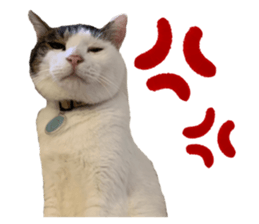 438456190
