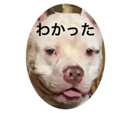 438456536
