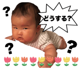 438551785