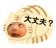 438561784