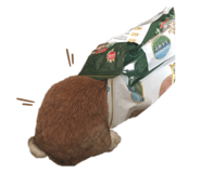 438628732