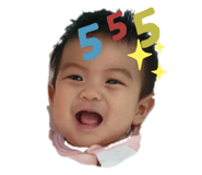 438658533