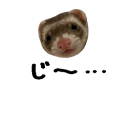 438670580