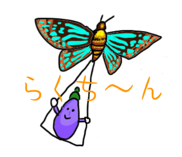 4387167