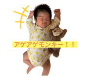 438789134