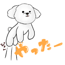 4388216