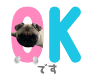 438828172