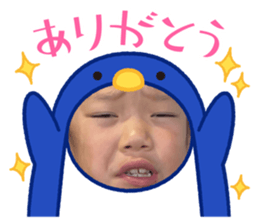 438828435