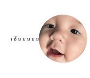 438829023