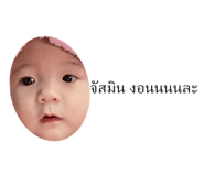 438829024