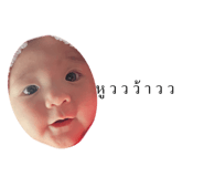 438829025