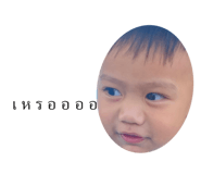 438829026