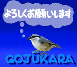 438829988