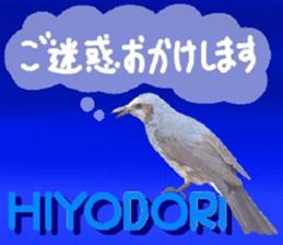 438829992