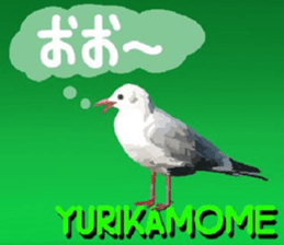438830004