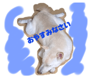 438830280