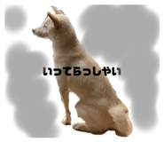 438830285