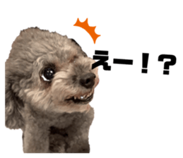 438860610