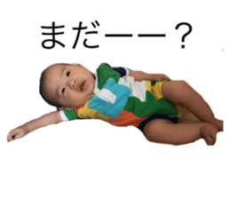 43886434