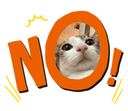 438872235