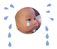 438900217
