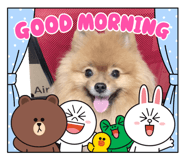 439015324