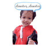 439060311