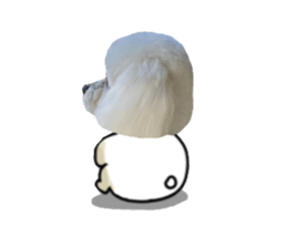 439148888
