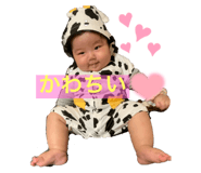 439156310
