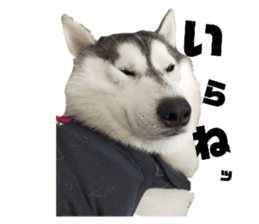 439160099