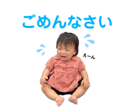 439162517