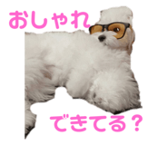 439176979