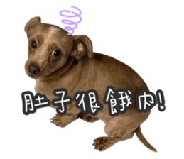 439223898