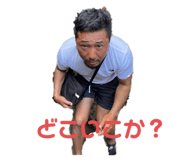439233494