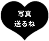 439328881