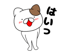 43944258