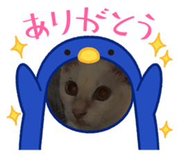 439464202