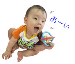 439500053