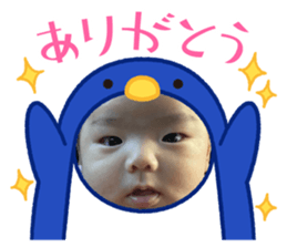 439503344
