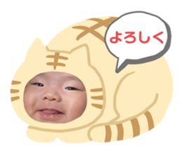 439503345