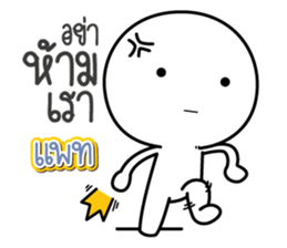 43950593