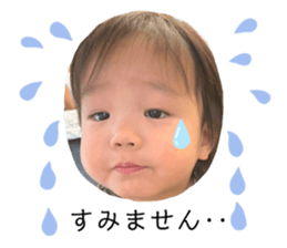 439530614