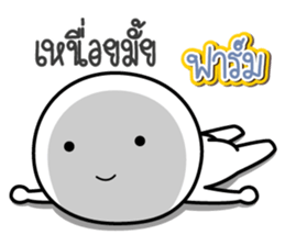 43954754