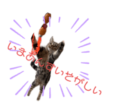 439593787